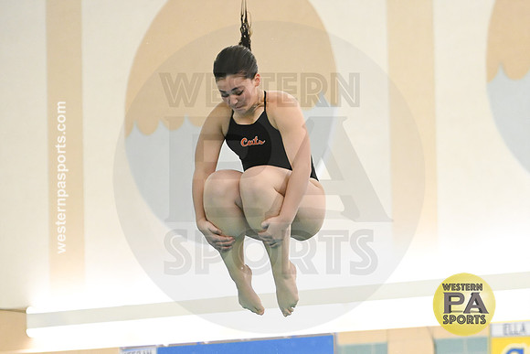 WCCA Diving_20230124-WP2_2841