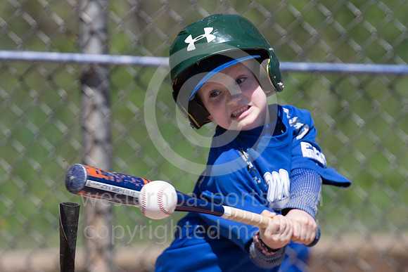 TeeBall-CorrellVzHarness-0034