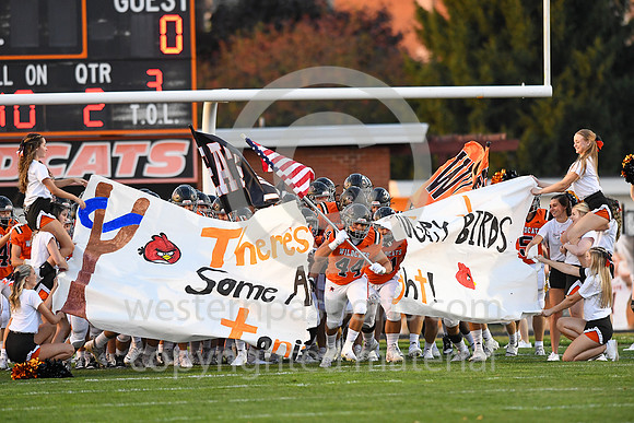 Football_Latrobe vs Armstrong_20240920-KR1_7015