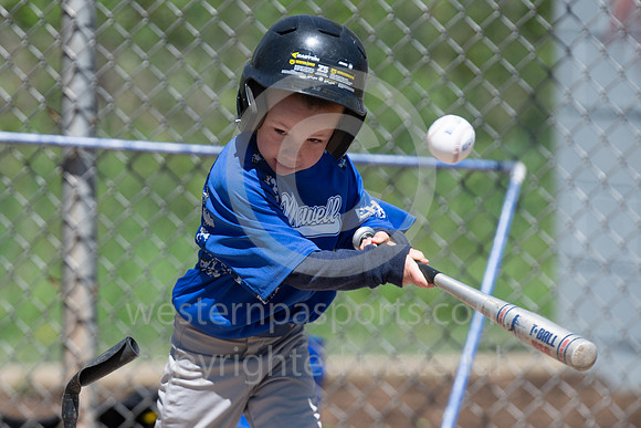 TeeBall-CorrellVzHarness-0004