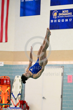 012425 - WCCA Diving-BR-2321