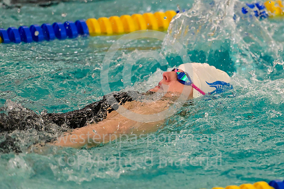 WCCA Swimming Championships _20260124-KR3_2196