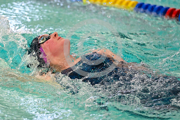 WCCA Swimming Championships _20260124-KR3_4501