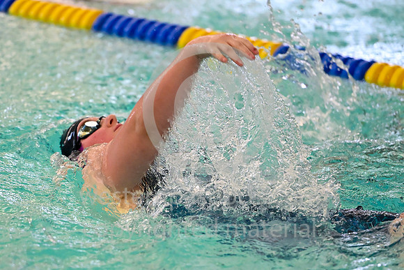 WCCA Swimming Championships _20260124-KR3_4507