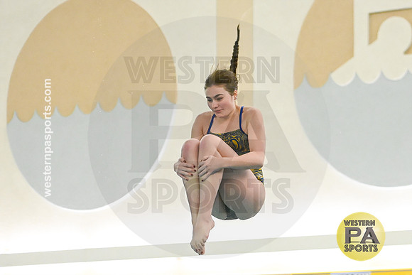 WCCA Diving_20260123-KR3_9400