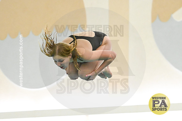WCCA Diving_20260123-KR3_9416