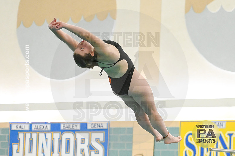 WCCA Diving_20260123-KR3_9428