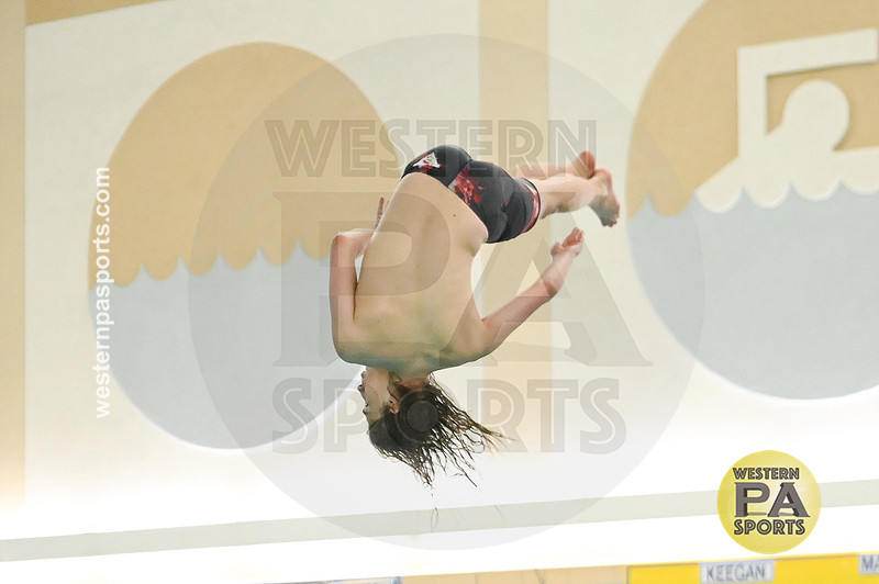 WCCA Diving_20260123-KR3_9545