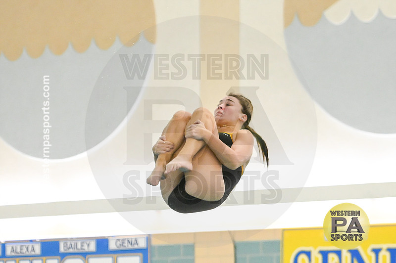 WCCA Diving_20260123-KR3_9584