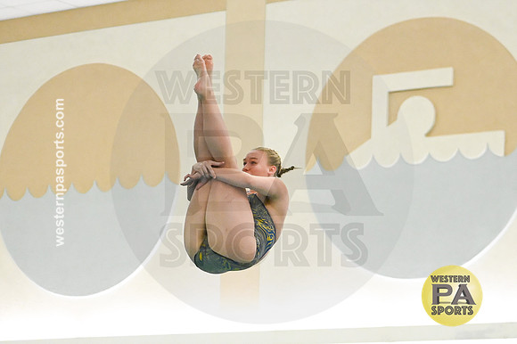 WCCA Diving_20260123-KR3_9674