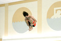WCCA Diving_20260123-KR3_9724