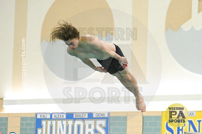 WCCA Diving_20260123-KR3_9762