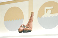 WCCA Diving_20260123-KR3_9884