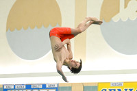 WCCA Diving_20260123-KR3_9927