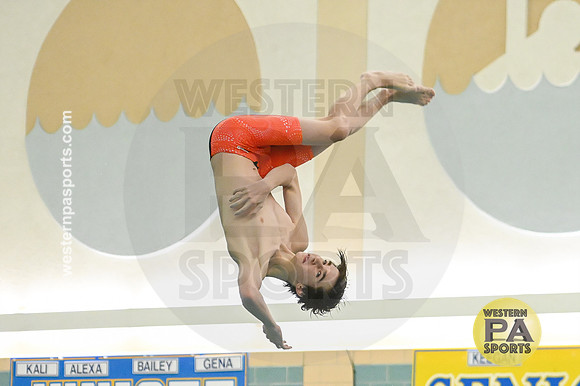 WCCA Diving_20260123-KR3_9927