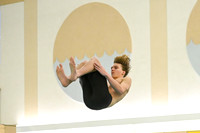 WCCA Diving_20260123-KR3_9942