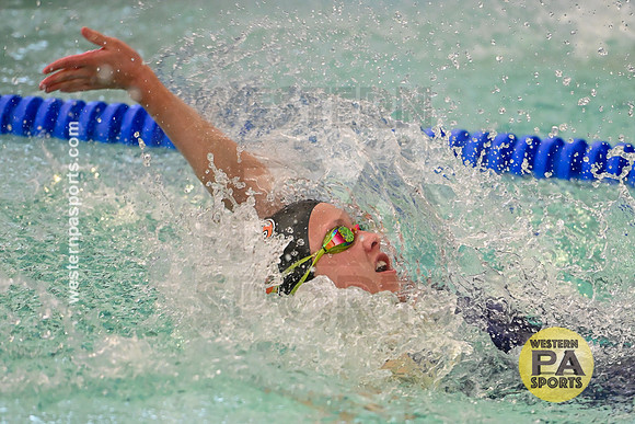 WCCA Swimming Championships _20260124-KR3_2293