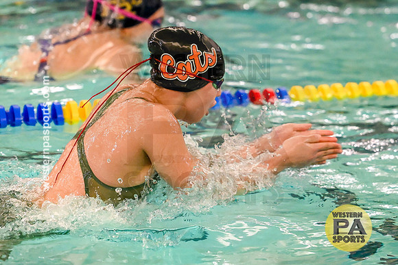 WCCA Swimming Championships _20260124-KR3_2329