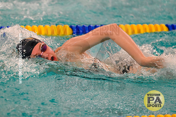 WCCA Swimming Championships _20260124-KR3_2569