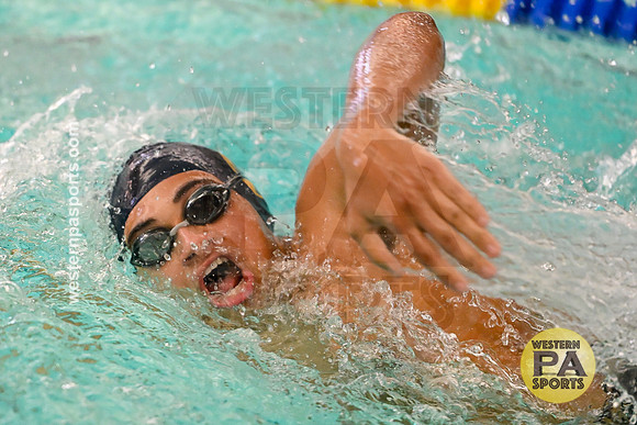 WCCA Swimming Championships _20260124-KR3_2688