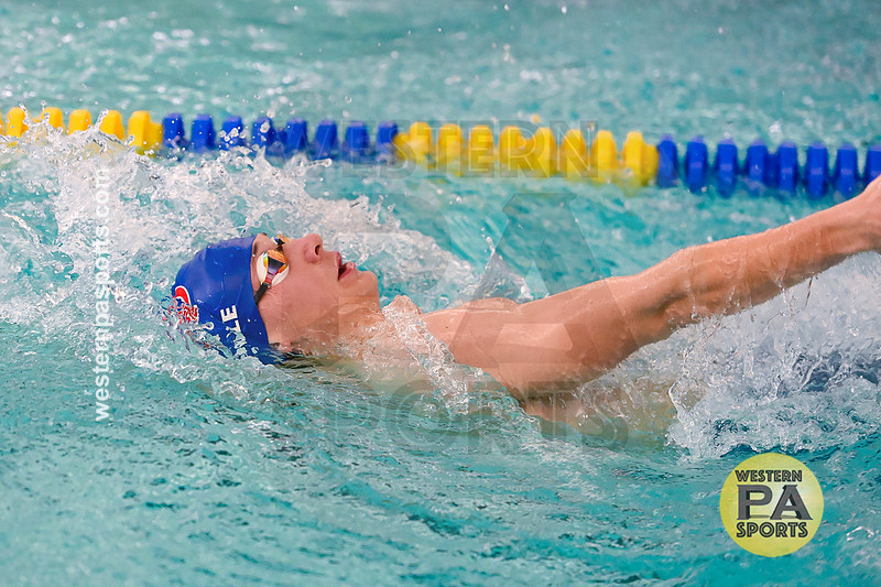 WCCA Swimming Championships _20260124-KR3_3346