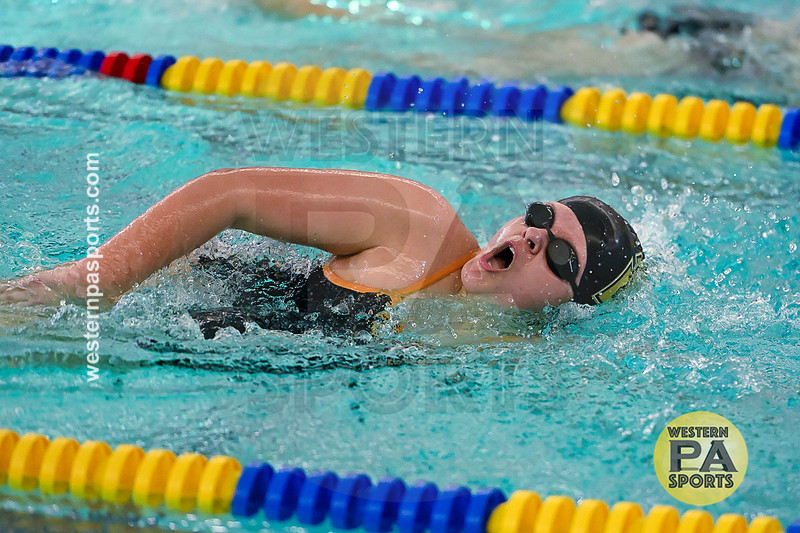 WCCA Swimming Championships _20260124-KR3_3837