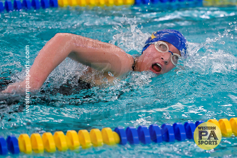 WCCA Swimming Championships _20260124-KR3_4040