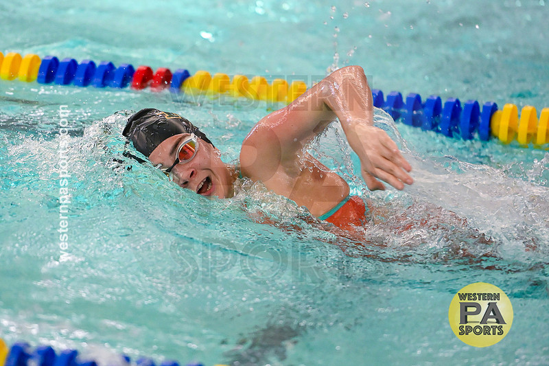 WCCA Swimming Championships _20260124-KR3_4141