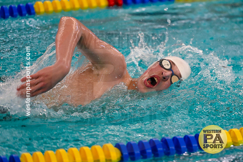 WCCA Swimming Championships _20260124-KR3_4215