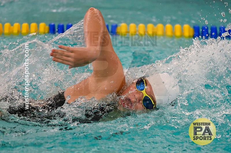 WCCA Swimming Championships _20260124-KR3_4342