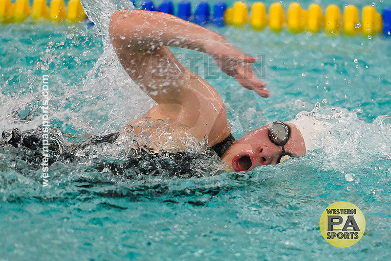 WCCA Swimming Championships _20260124-KR3_4357