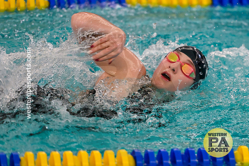 WCCA Swimming Championships _20260124-KR3_4397