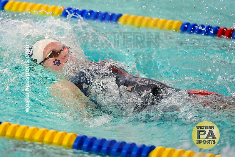 WCCA Swimming Championships _20260124-KR3_4677