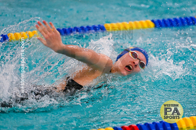 WCCA Swimming Championships _20260124-KR3_5424