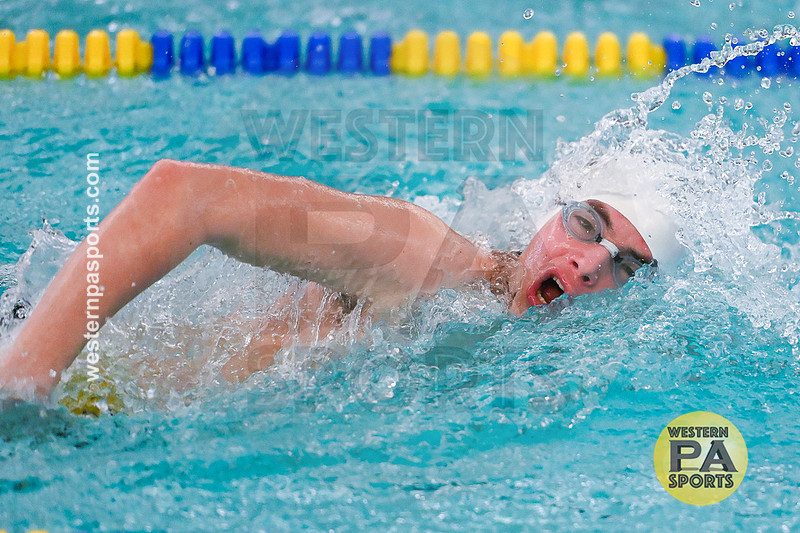 WCCA Swimming Championships _20260124-KR3_5547