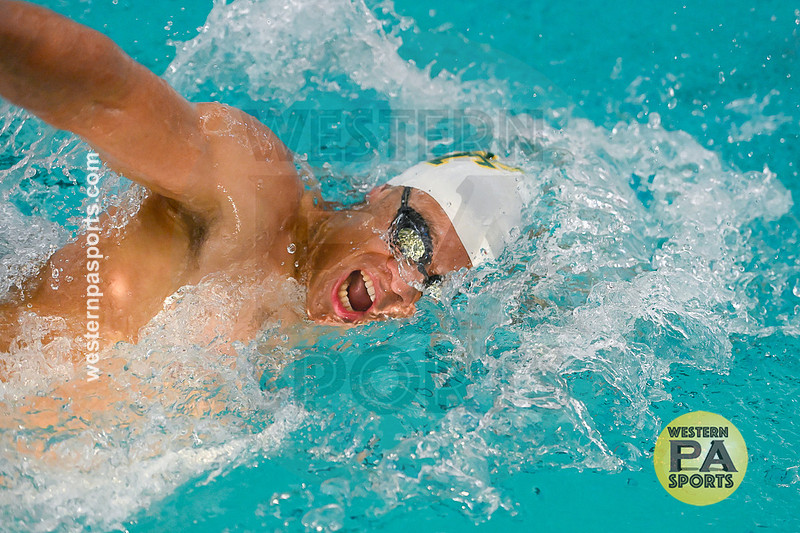 WCCA Swimming Championships _20260124-KR3_5659