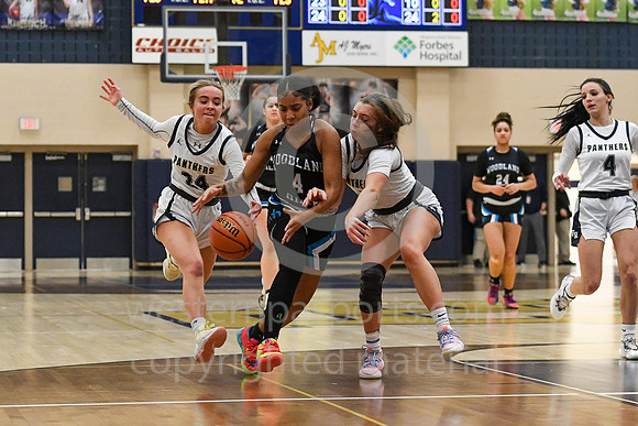 Girls Hoops_FR vs Woodland Hills_20230119-KR1_0639