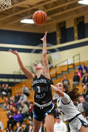 Girls Hoops_FR vs Woodland Hills_20230119-KR1_0683