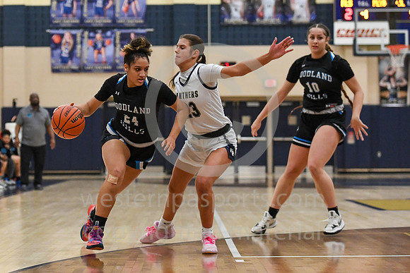 Girls Hoops_FR vs Woodland Hills_20230119-KR1_0703