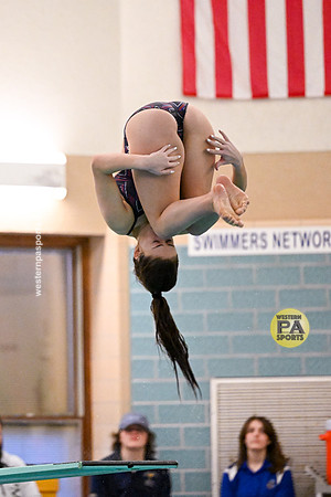 20230127 - WCCA Diving_BR-7996