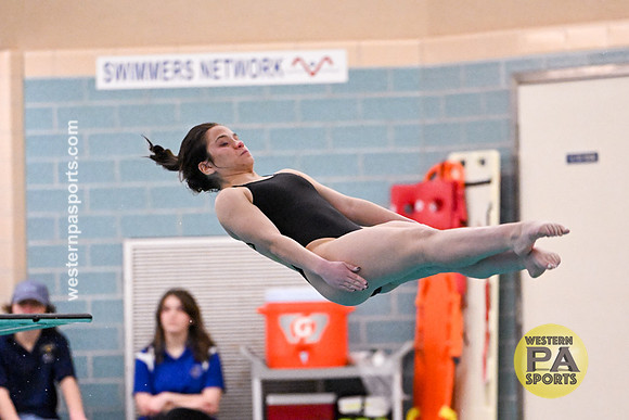 20230127 - WCCA Diving_BR-8262
