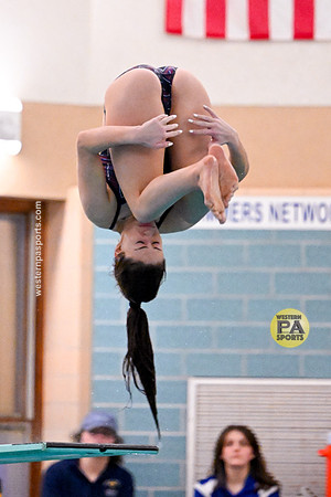 20230127 - WCCA Diving_BR-8495