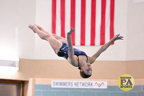 20230127 - WCCA Diving_BR-8518