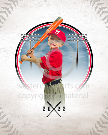 BR1_3855_45V