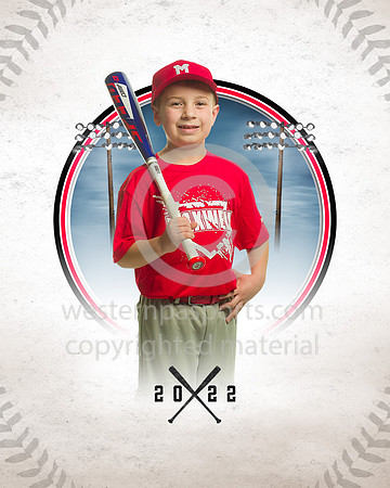BR1_3859_45V