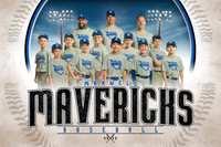 10U BB Gillott