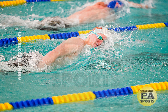 WCCA Swim_20250125-WP2_5539