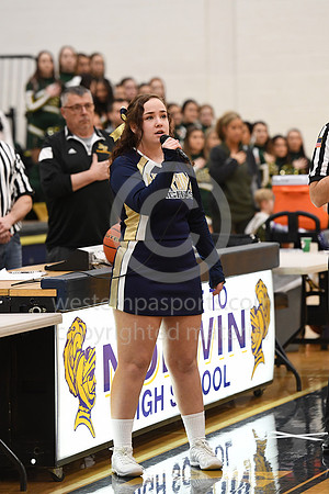 Boys Basketball_Norwin vs PT_20190115-KR1_7677