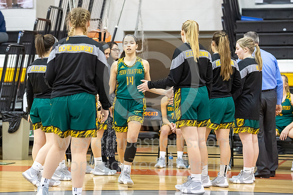 Girls Basketball_Latrobe vs PT_20190114-KR1_6074