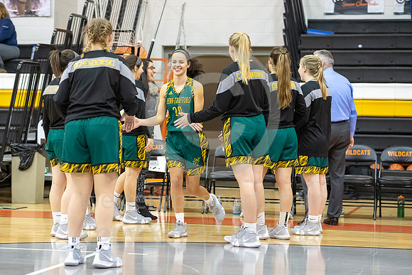 Girls Basketball_Latrobe vs PT_20190114-KR1_6089